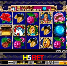 Descubra a Essência do H5BET: Nossa História e Compromissos